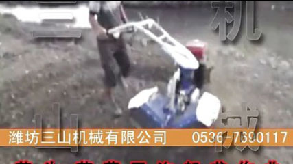 芋頭、草莓開(kāi)溝起壟作業(yè) 